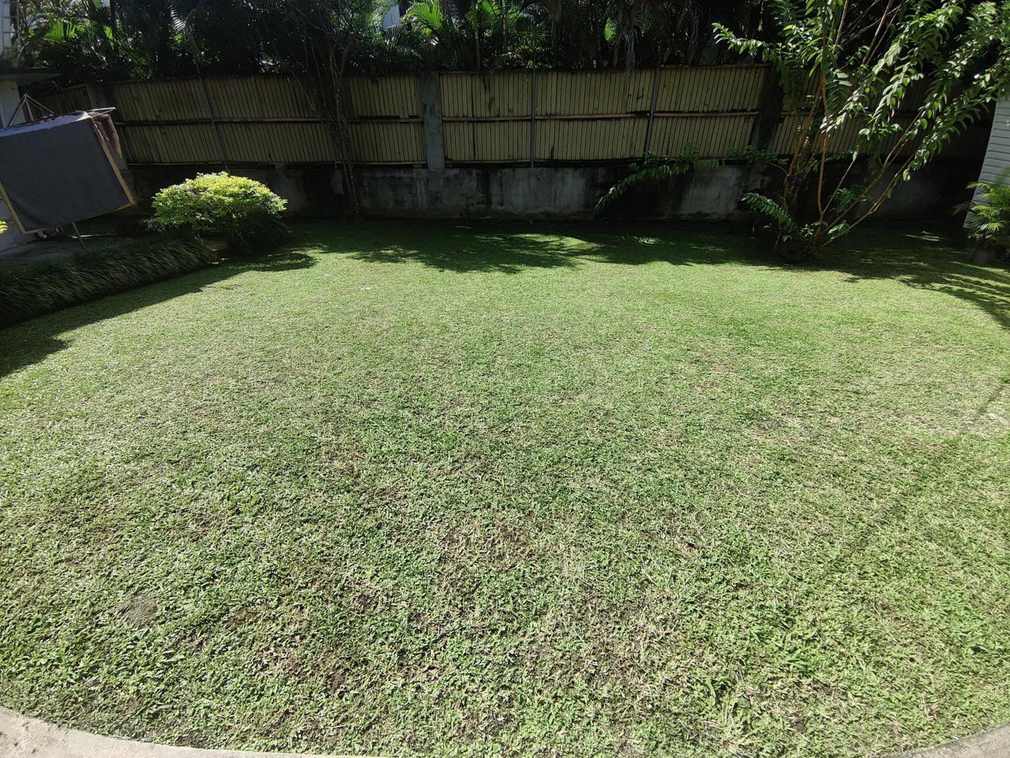 Studio At Berry Road Suva Exterior foto
